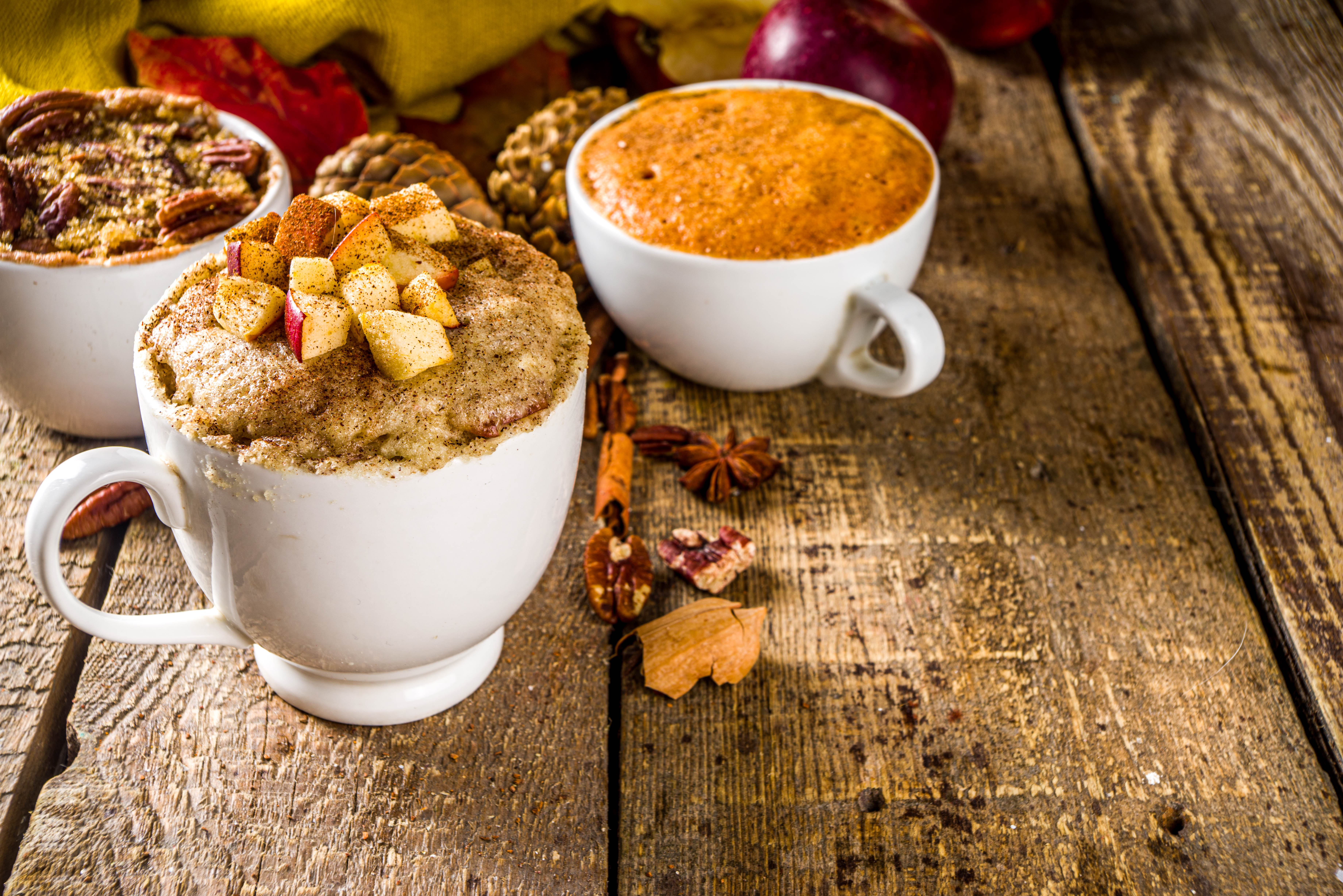 Fall,and,winter,sweet,dessert.,traditional,autumn,cakes,,microwave,mug