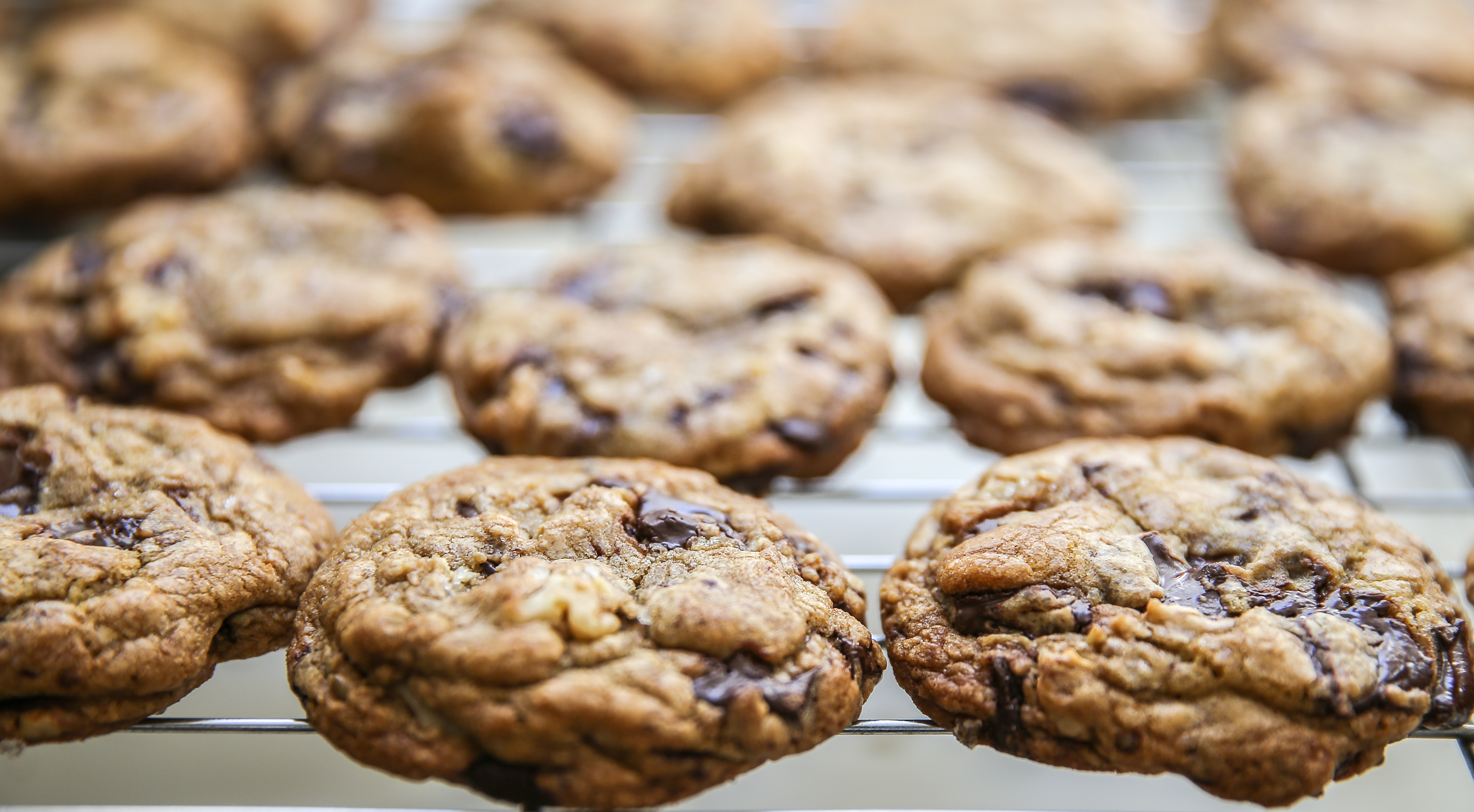 Fresh,out,of,the,oven,,batch,of,chewy,chocolate,chip